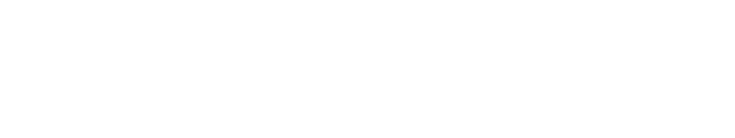 The Shirt Shop